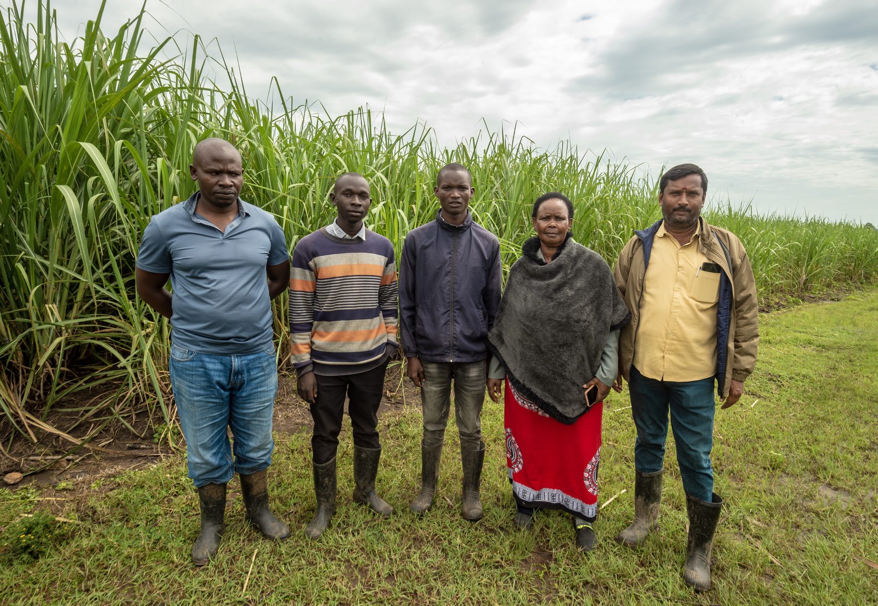 Outgrower farmers standing in the sugarcane fields