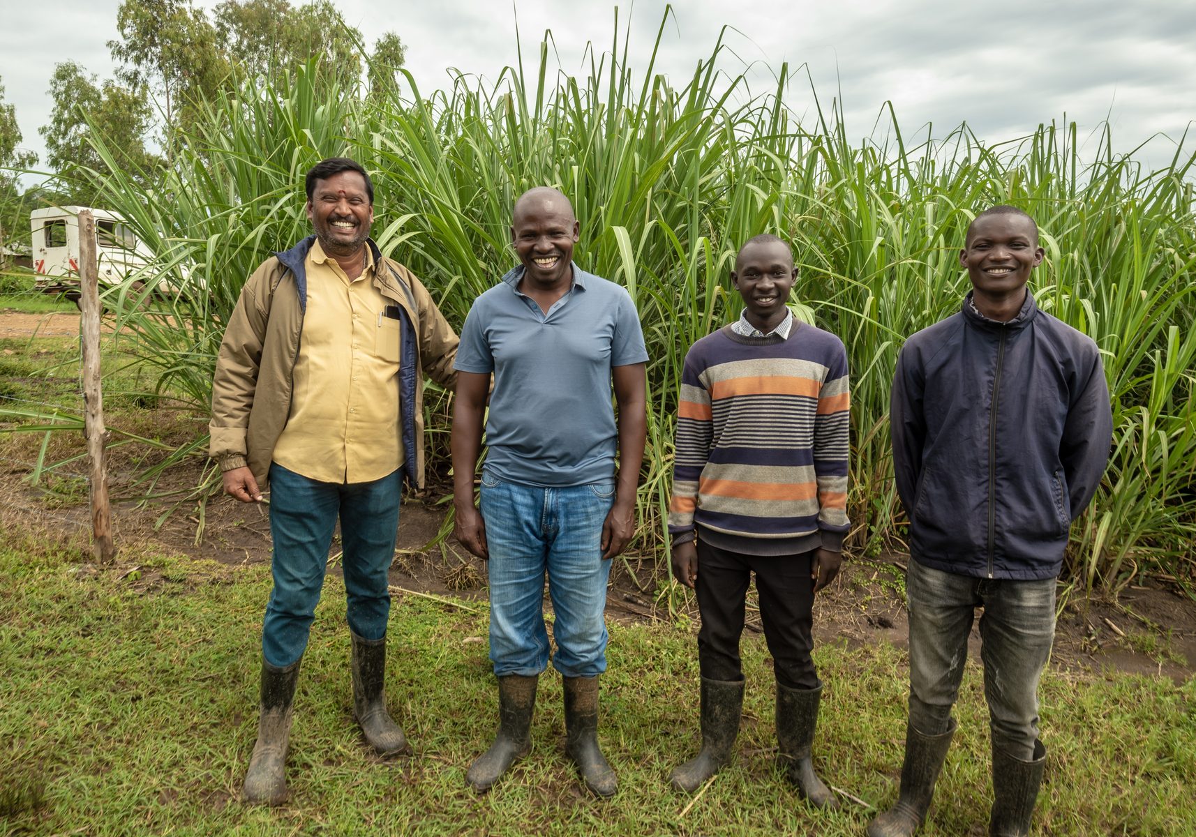Smiling Sukari Industries outgrower farmers in the cane field